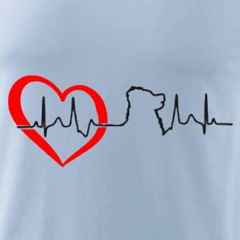 Bernský salašnický pes EKG Bernský salašnický pes EKG