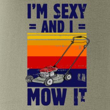 I'm sexy and i mow it I'm sexy and i mow it