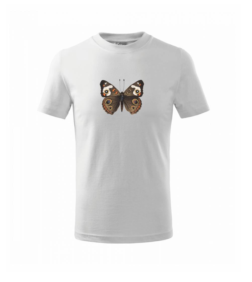 Motýľ motýle Motýľ motýle