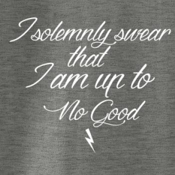 I solemnly swear that I'm up to no good