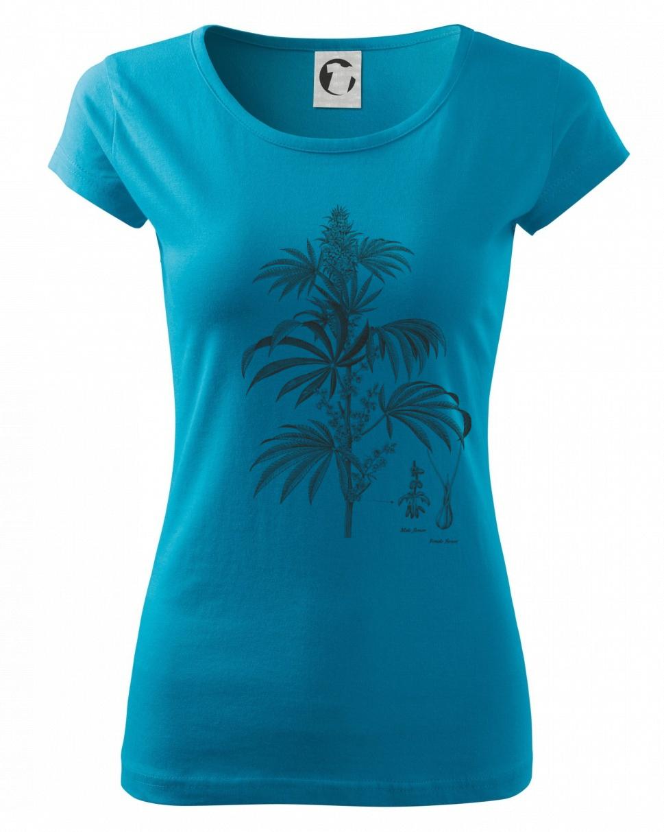 Konope kvietok čiernobiely   Konope kvietok čiernobiely