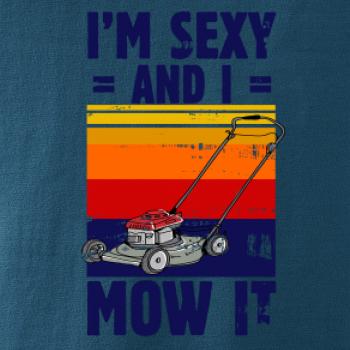 I'm sexy and i mow it