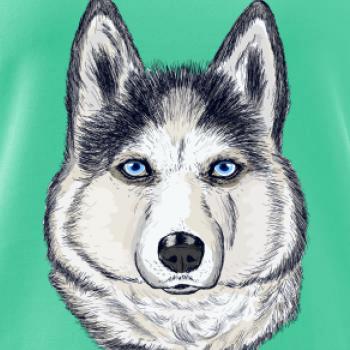 Husky hlava - kreslený Husky hlava - kreslený