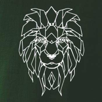 Geometria - lev tvár Geometria - lev tvár