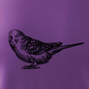 Ceruzkou kreslený Papagáj