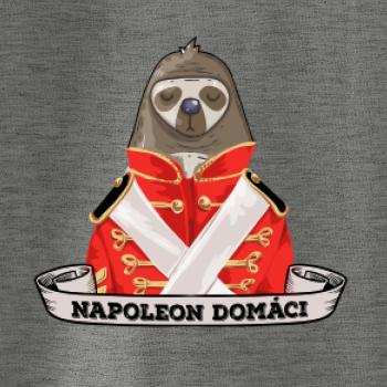 Napoleon domáci leňochod SK