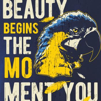 Bird macaw