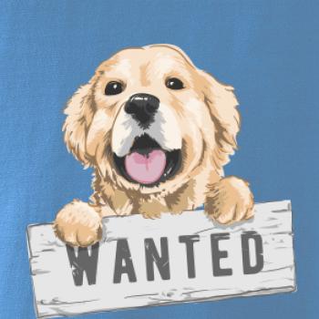 Zlatý retriever - šteniatko wanted