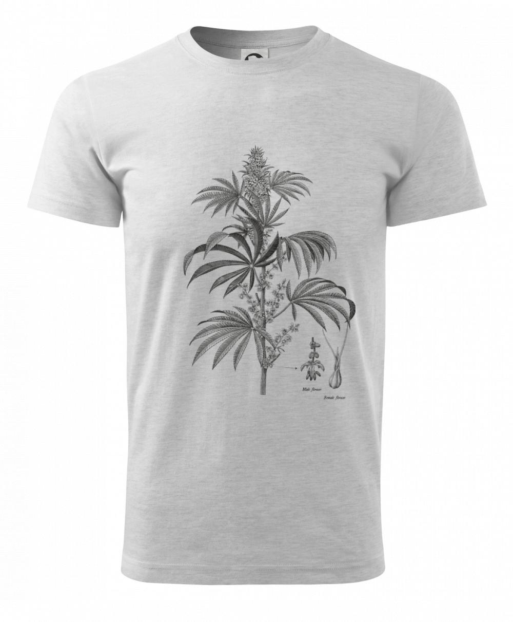 Konope kvietok čiernobiely   Konope kvietok čiernobiely