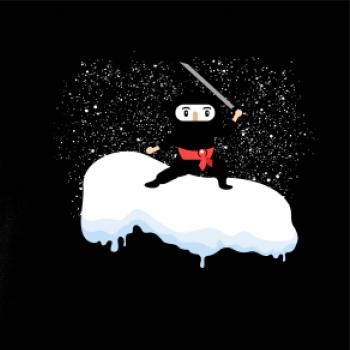 Ninja dont like winter Ninja dont like winter