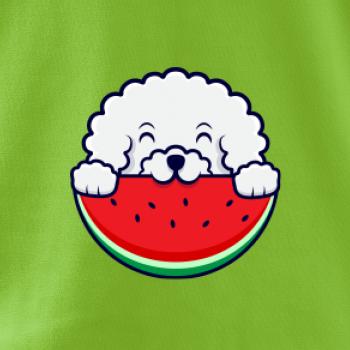 Bišónik s melónom