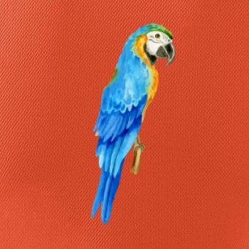 Ara modrá kreslená Ara modrá kreslená