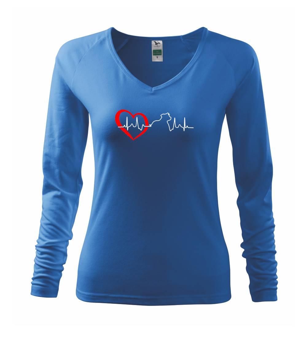 Stafordšírsky bulteriér  EKG Stafordšírsky bulteriér  EKG