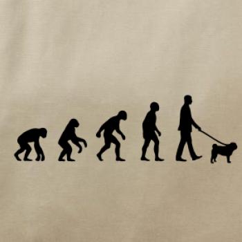 Evolúcia pes Mops (muž-žena)