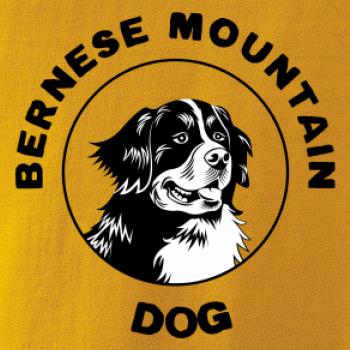 Bernese mountain dog v kruhu