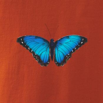 Motýľ Babôčka Morpho Peleides Motýľ Babôčka Morpho Peleides