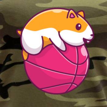 Škrečok basketbalista