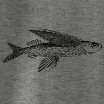 Flying fish