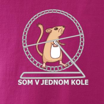 Som v jednom kole