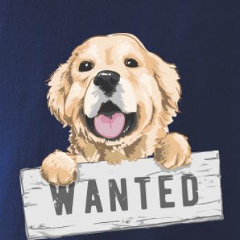 Zlatý retriever - šteniatko wanted