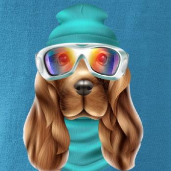 Jazvečík lyžiar   Jazvečík lyžiar