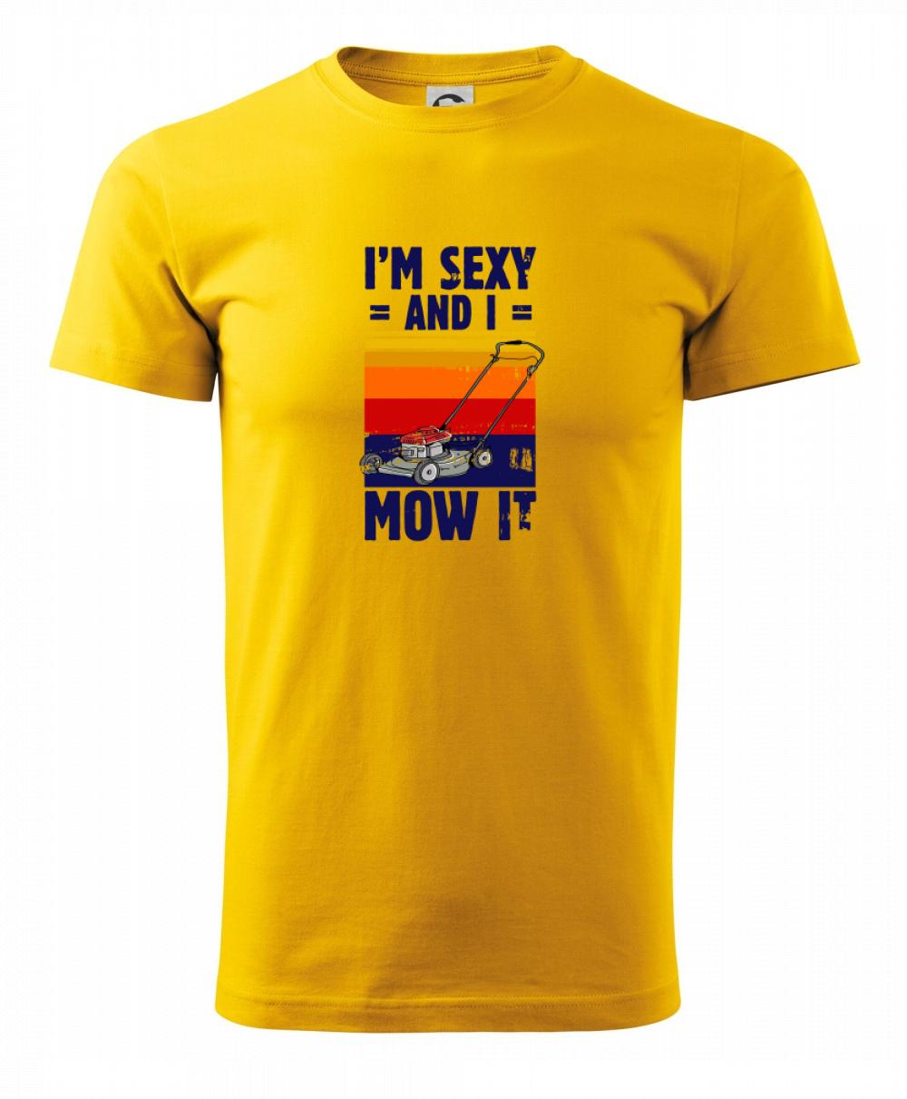 I'm sexy and i mow it I'm sexy and i mow it