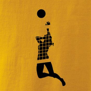 Volejbalistka sieť Volejbalistka sieť