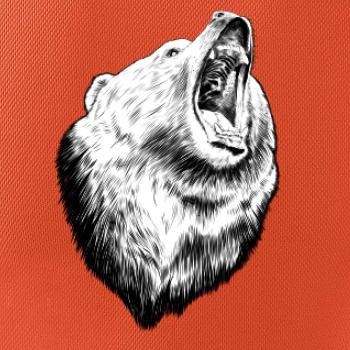 Medveď trošku naštvaný