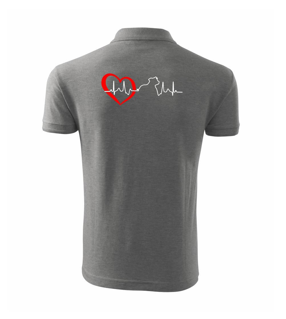 Stafordšírsky bulteriér  EKG Stafordšírsky bulteriér  EKG