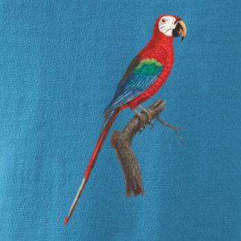 Papagáj červený na vetve