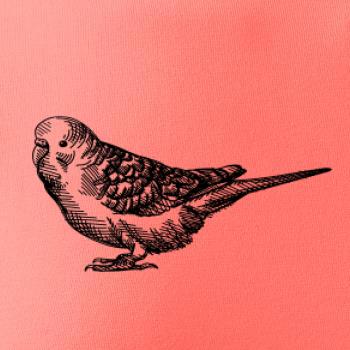 Ceruzkou kreslený Papagáj