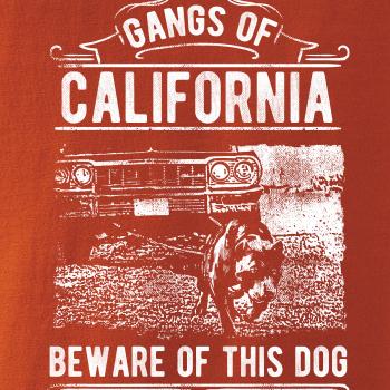 Gangs Of California