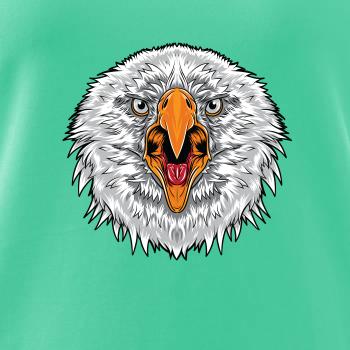  Hlava rozhnevaného orla