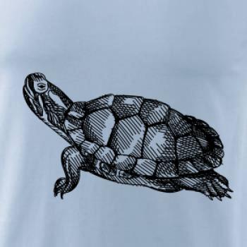 Ceruzkou kreslená korytnačka Ceruzkou kreslená korytnačka