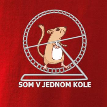 Som v jednom kole