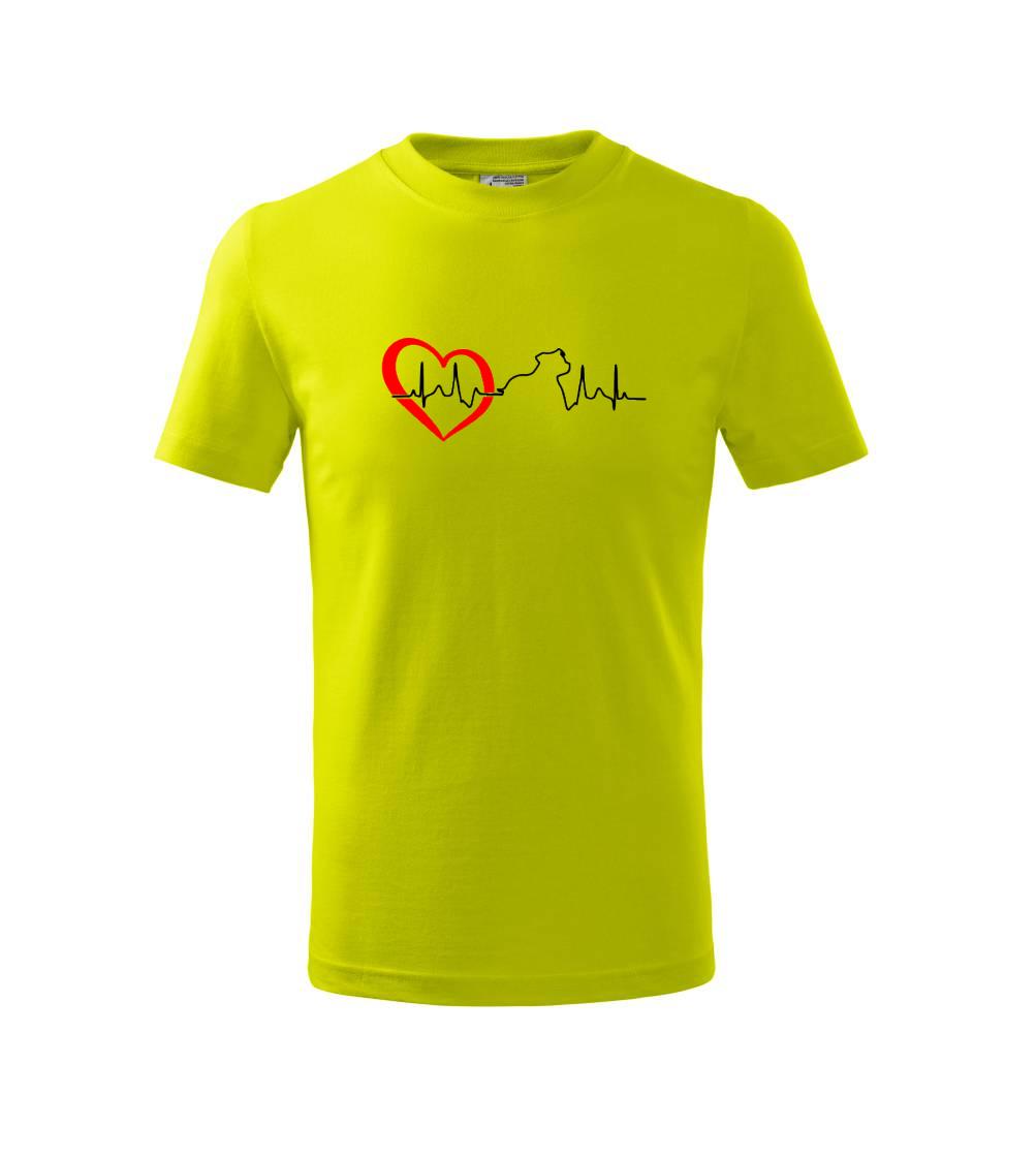 Stafordšírsky bulteriér  EKG Stafordšírsky bulteriér  EKG