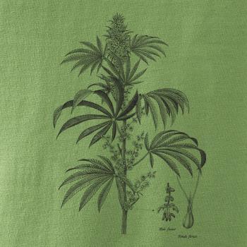 Konope kvietok čiernobiely   Konope kvietok čiernobiely