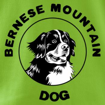 Bernese mountain dog v kruhu