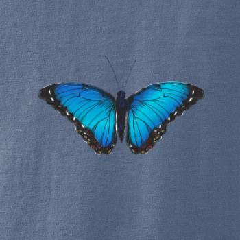 Motýľ Babôčka Morpho Peleides