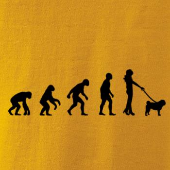 Evolúcia pes Mops (muž-žena)