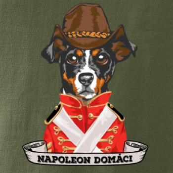 Napoleon domáci kríženec