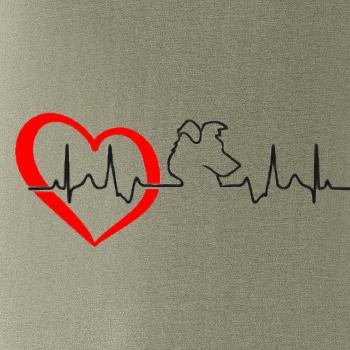 Borderská kólia EKG Borderská kólia EKG