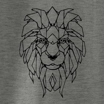 Geometria - lev tvár Geometria - lev tvár