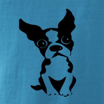 Bostonský teriér Bostonský teriér