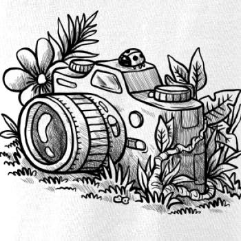 Foťák kreslený lienka Foťák kreslený lienka