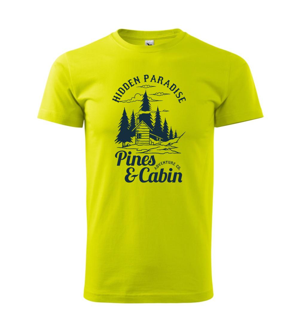 Pines and Cabin Pines and Cabin