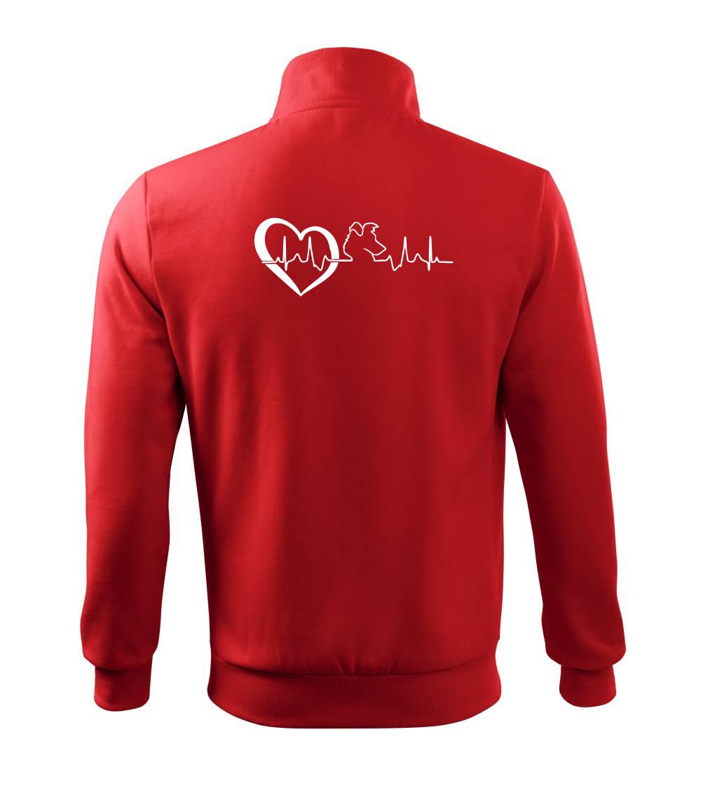 Borderská kólia EKG Borderská kólia EKG