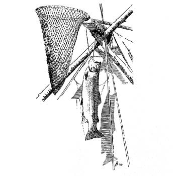 Kreslený podberák a chytená ryba