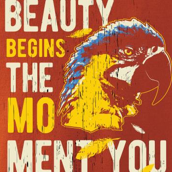 Bird macaw