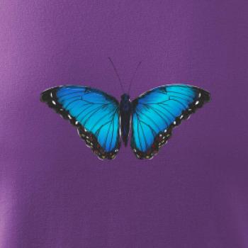 Motýľ Babôčka Morpho Peleides